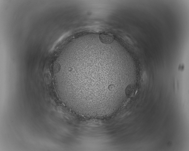 X0000114201446200910231333