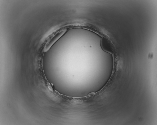 X0000114201448200910231332