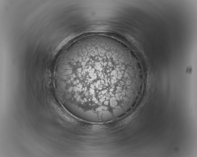 X0000114201449200910231332