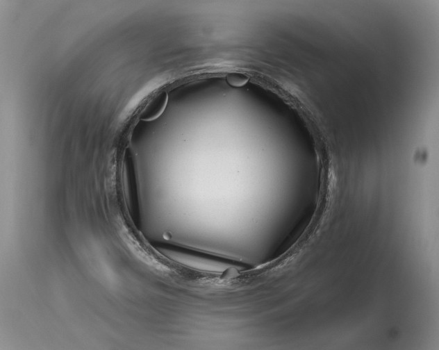 X0000114201450200910231332