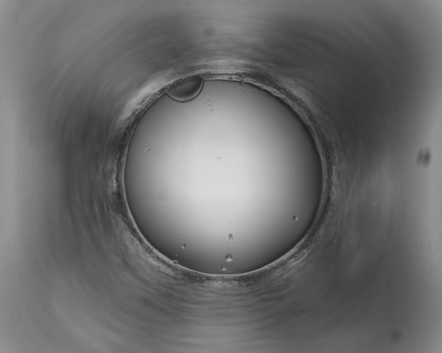 X0000114201451200910231332