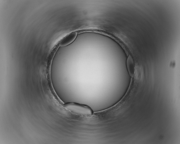 X0000114201452200910231332