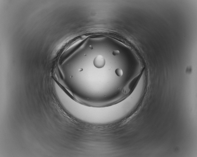 X0000114201453200910231332