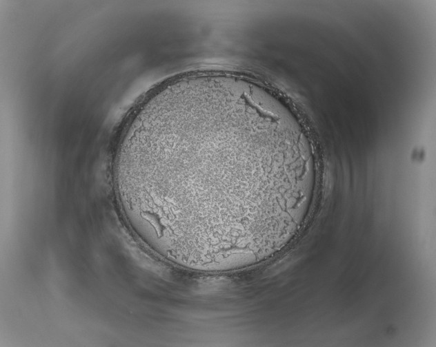 X0000114201454200910231332