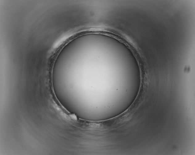 X0000114201456200910231332