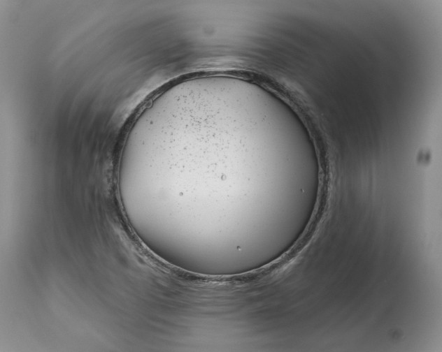 X0000114201457200910231332