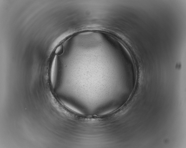 X0000114201458200910231332