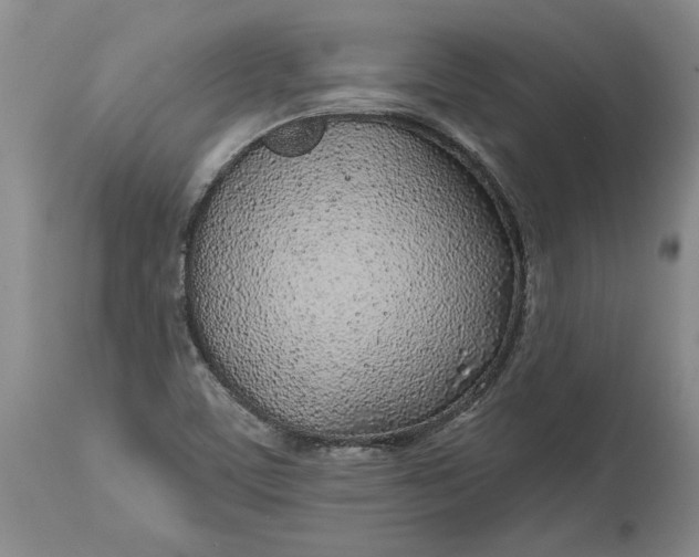 X0000114201459200910231332