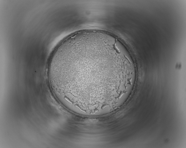 X0000114201462200910231332