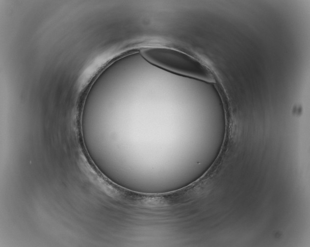 X0000114201464200910231332