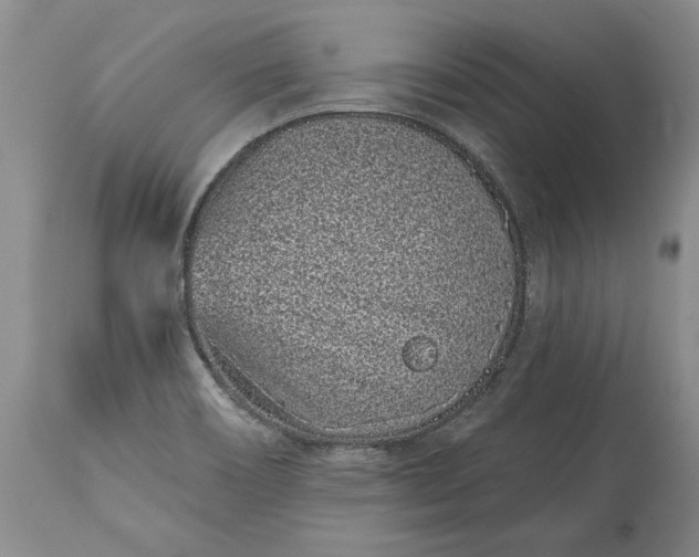 X0000114201466200910231332