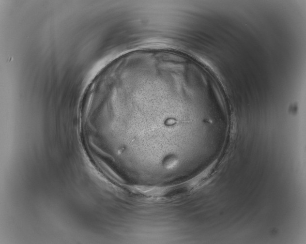 X0000114201467200910231332