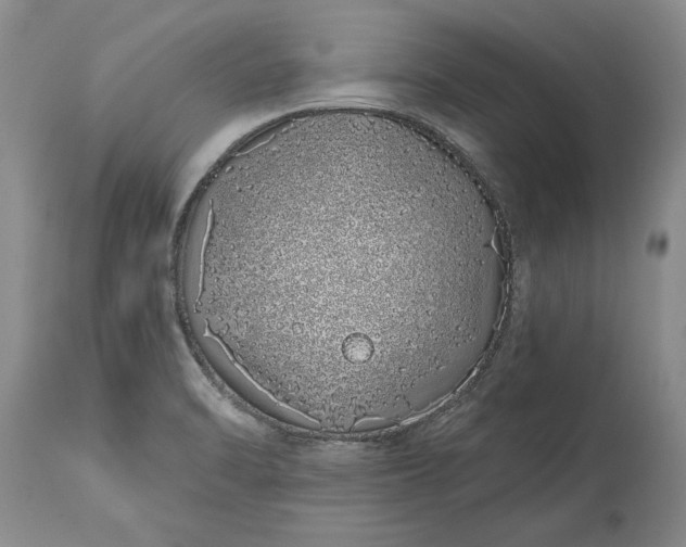 X0000114201470200910231332