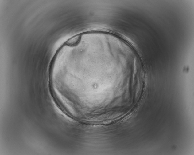 X0000114201471200910231332