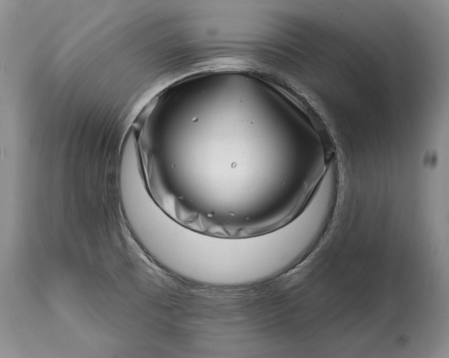 X0000114201473200910231332