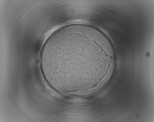 X0000114201474200910231332