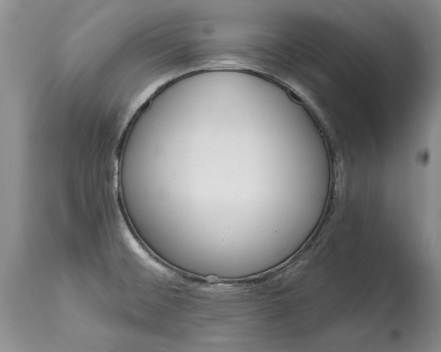 X0000114201476200910231332