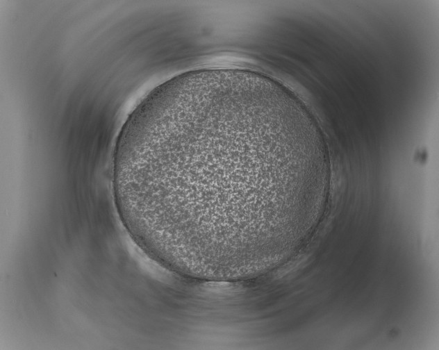 X0000114201478200910231332