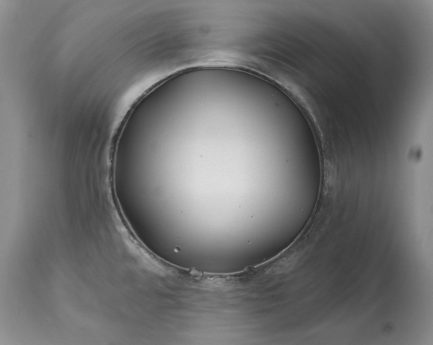 X0000114201480200910231332