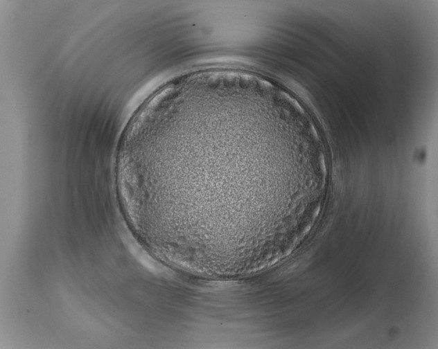 X0000114201482200910231332