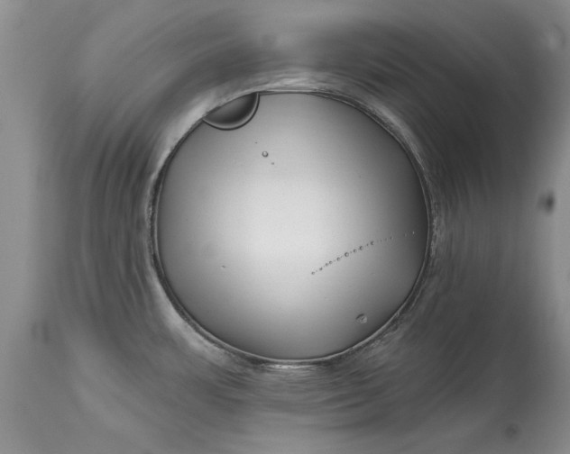 X0000114201483200910231332