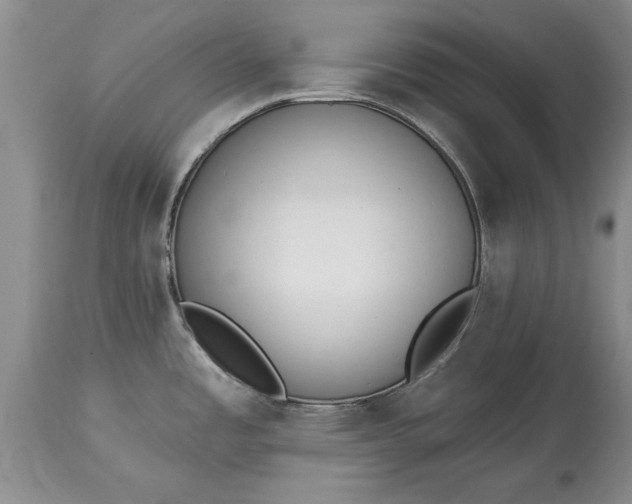 X0000114201485200910231332