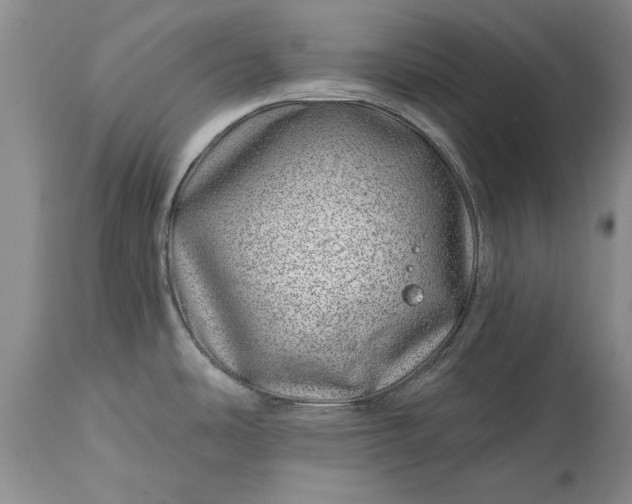 X0000114201486200910231332