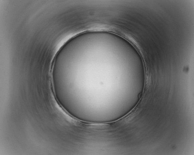 X0000114201487200910231332