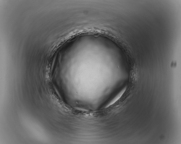 X0000114201490200910231331