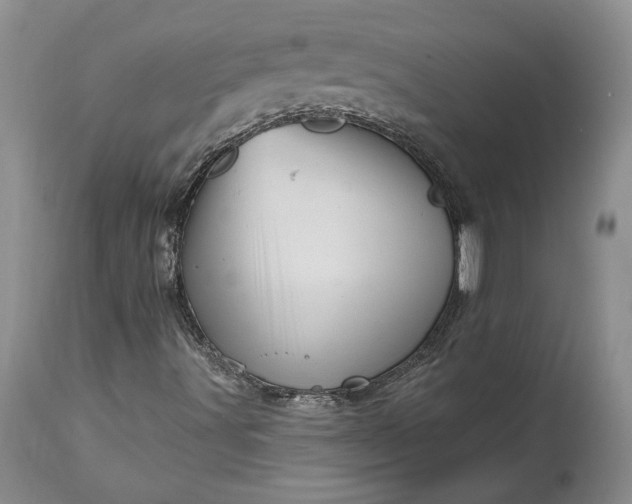 X0000114201491200910231331