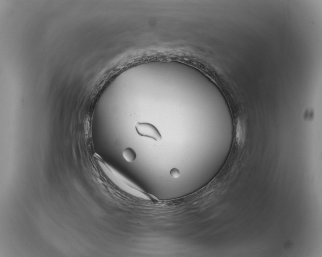 X0000114201492200910231331