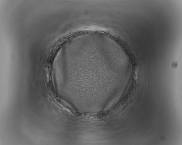 X0000114201493200910231331