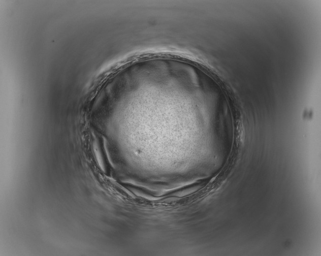 X0000114201494200910231331