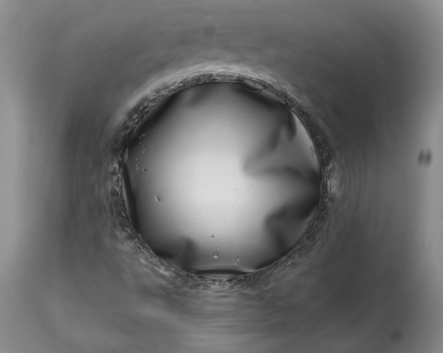 X0000114201495200910231331