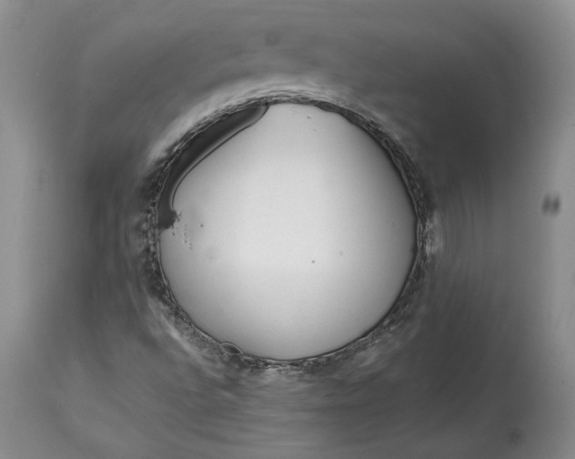 X0000114201496200910231331