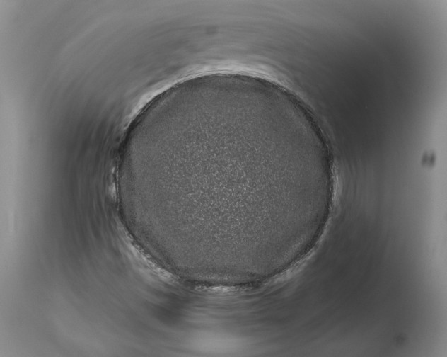 X0000114201497200910231331