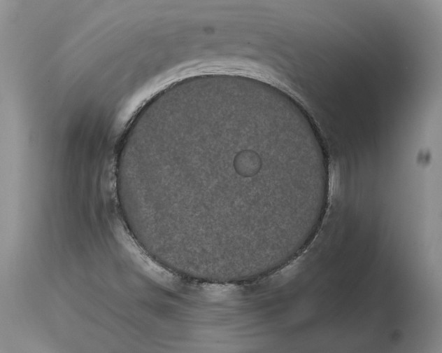 X0000114201498200910231331