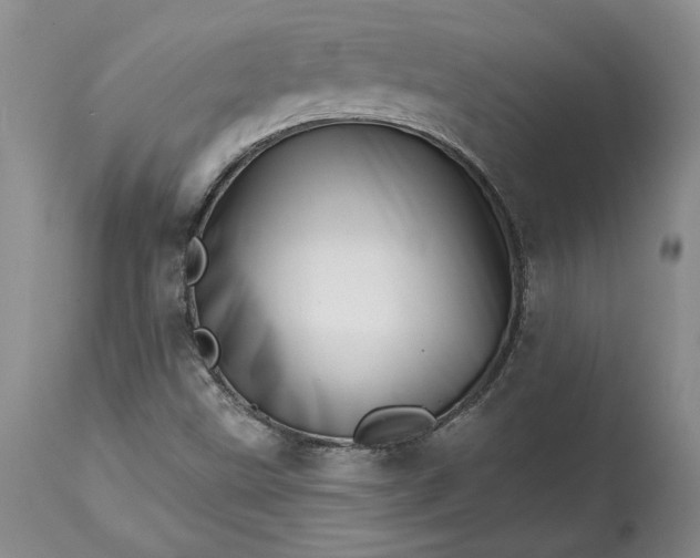 X0000114201499200910231331