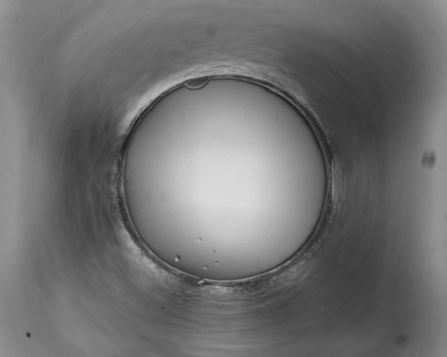 X0000114201500200910231331