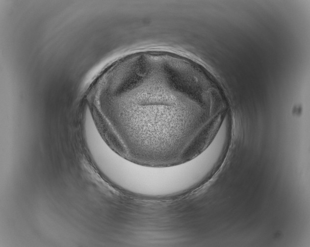 X0000114201502200910231331