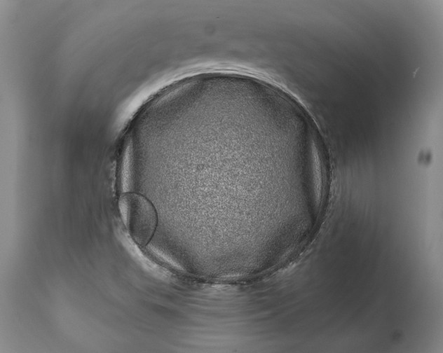 X0000114201503200910231331