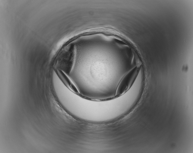 X0000114201506200910231332