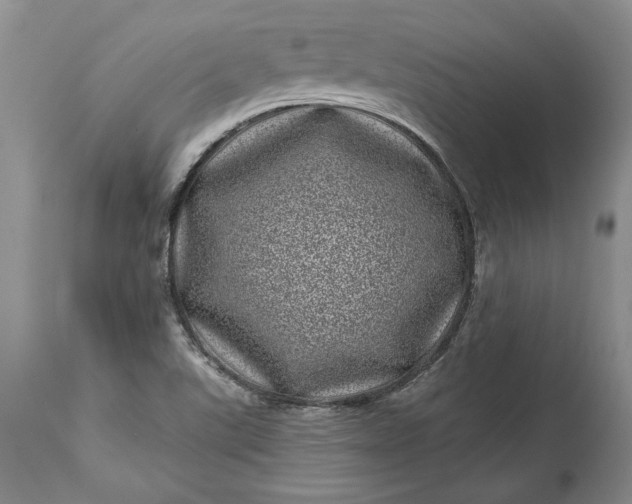 X0000114201507200910231332