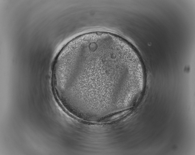 X0000114201508200910231332