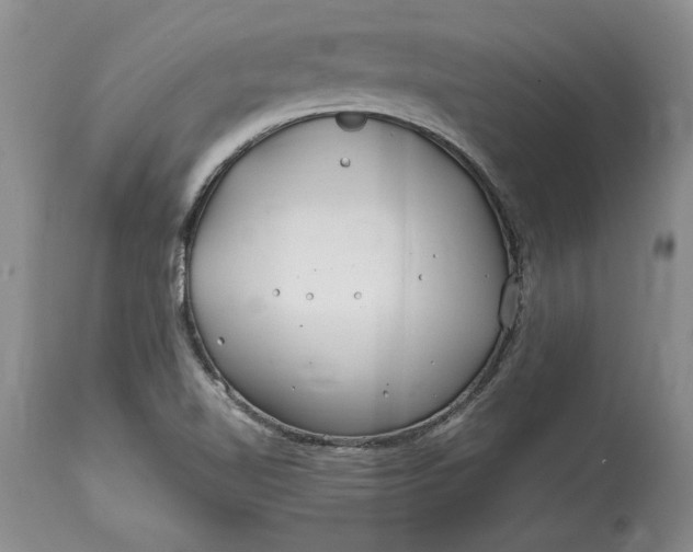 X0000114201510200910231332