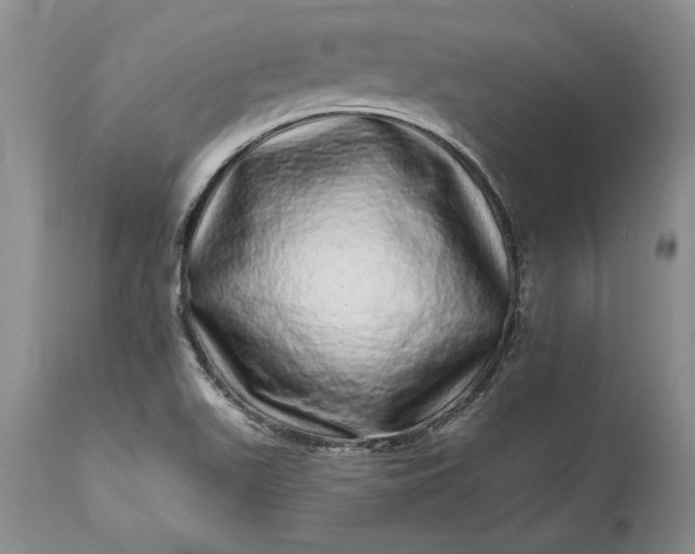 X0000114201511200910231332