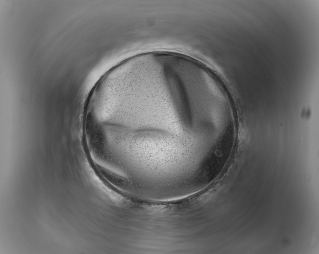 X0000114201512200910231332