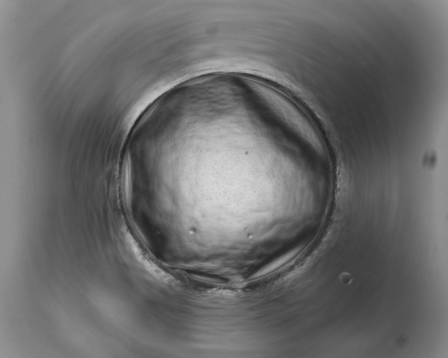 X0000114201513200910231332