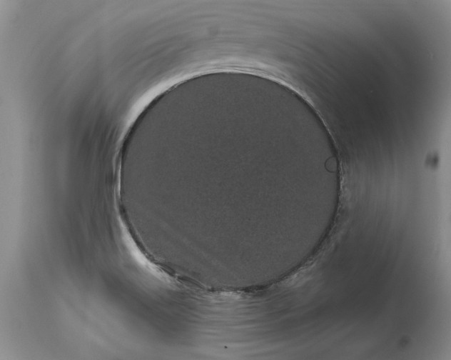 X0000114201515200910231332