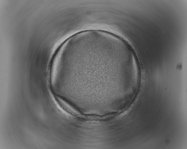 X0000114201517200910231332